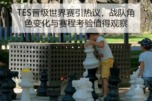 TES晋级世界赛引热议，战队角色变化与赛程考验值得观察
